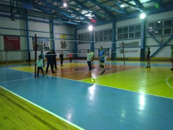 Матч по волейболу прошел в Земетчино